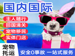 梅州航空邮寄国际宠物托运 【国